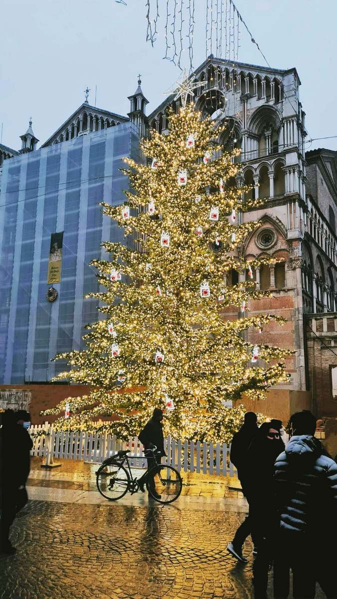 La foto di Rimessi sul Natale a Ferrara deidcata ad Andrea Samaritani